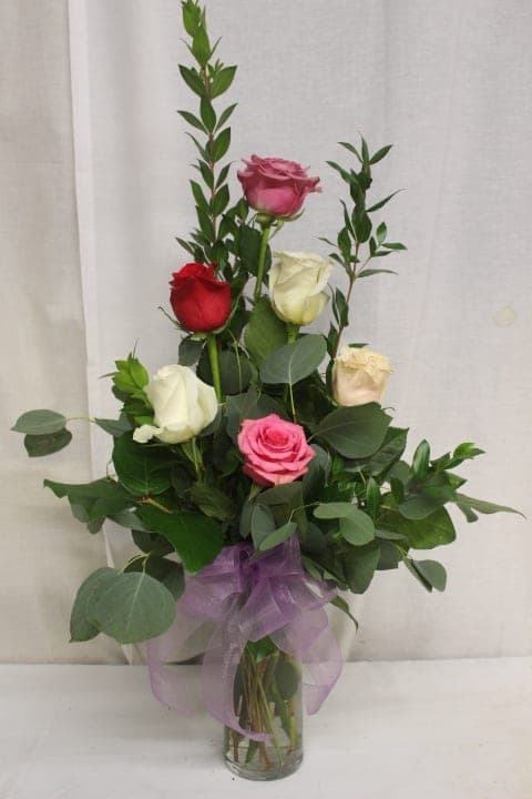 Rose Melody